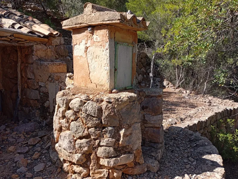 Sunny olive grove in Fornalutx — photo 4