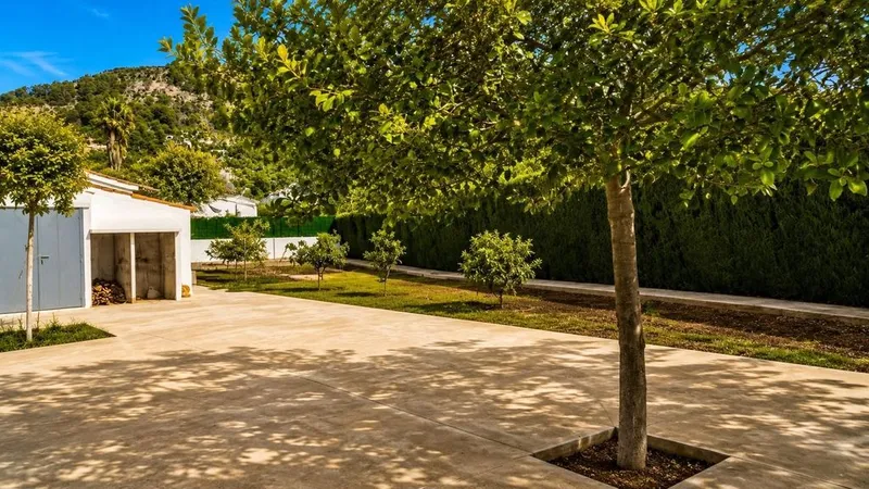 Land in Bunyola, Province of Balearic Islands — photo 6