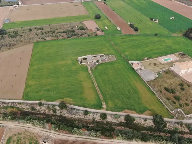 Land in Sa Pobla, Mallorca — photo 8