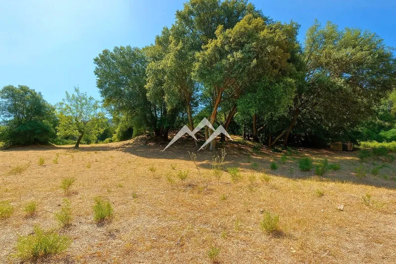 Large Rustic Estate of 266,000 m2 in Artà — photo 6