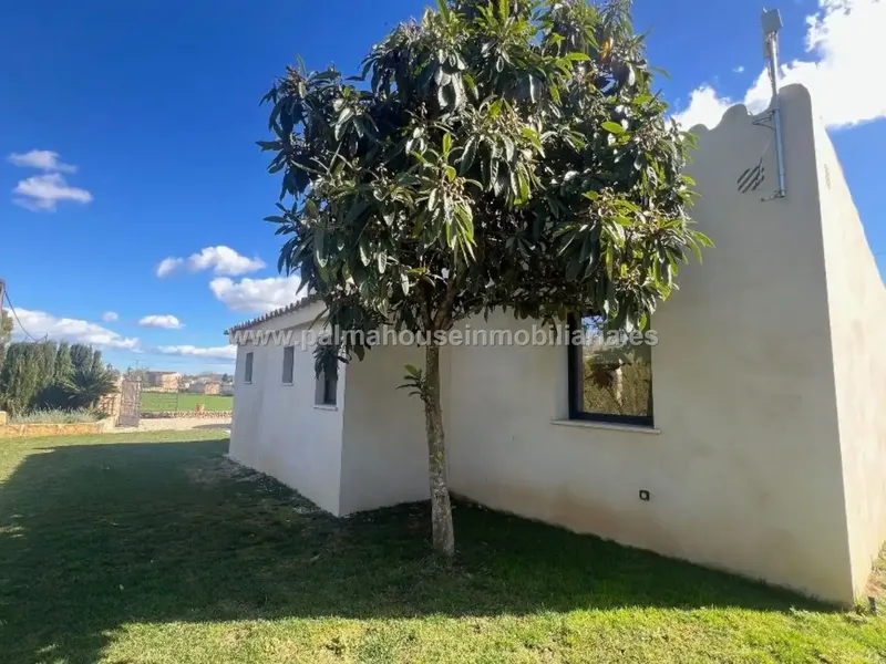In the center of the island, in a very quiet location and close to the town of Sencelles, we present this magnificent country house! — photo 6