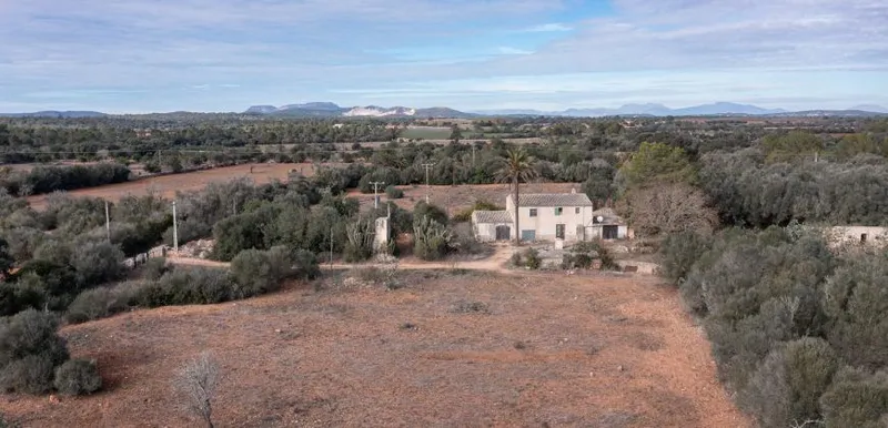 Country house to renovate in Campos with 14,000 m² plot — photo 6