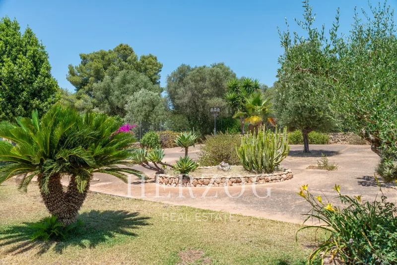 Spacious villa with a private pool and panoramic views in Sa Cabaneta — photo 11