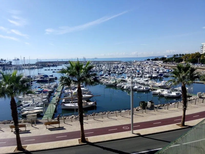 Fantastic First Line Apartment near Portixol Marina — photo 1