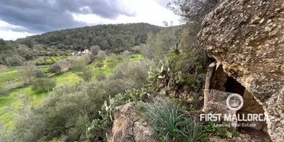 Real estate picture 0 Ref. No. 83358 — photo 4