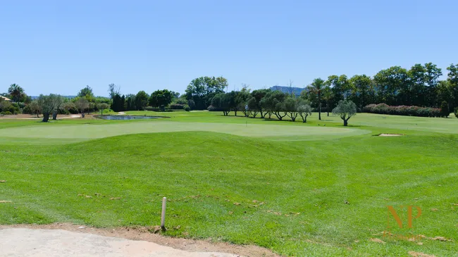Finca in Costa de los Pinos — photo 1