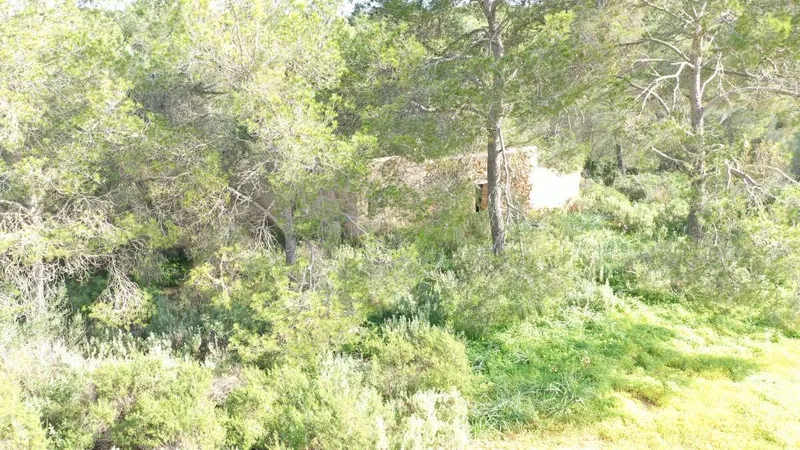 Rustic plot 5 minutes from Porto Petro — photo 3