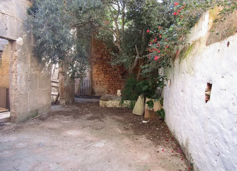 Commercial Premises in Santanyi — photo 9