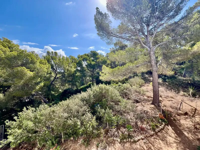 Apartment in Sant Elm with sea views — photo 11