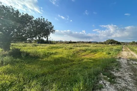 Quiet and well-located plot with project near Campos, towards Llucmajor — photo 2