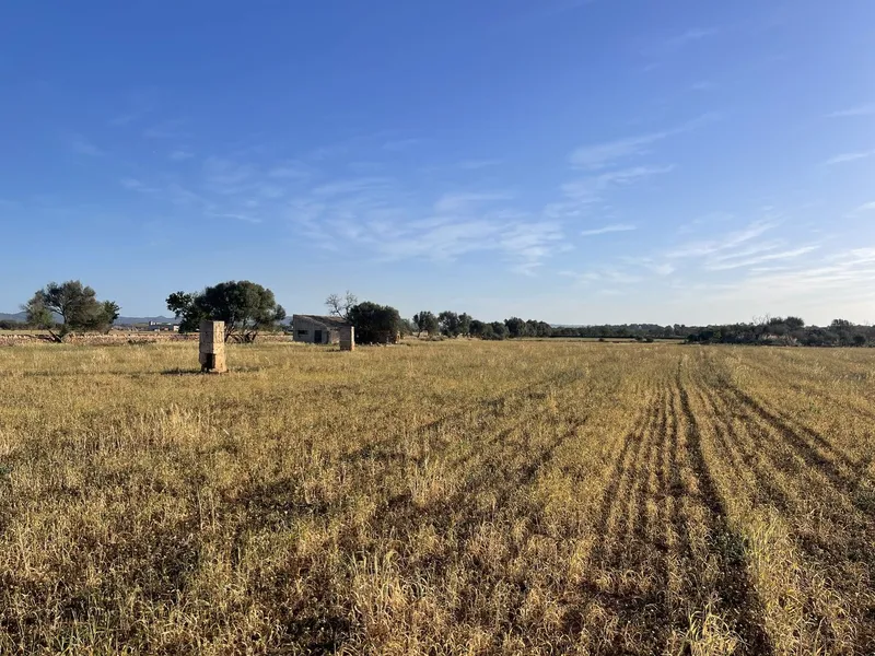Plot Between Campos and Sa Rapita — photo 6