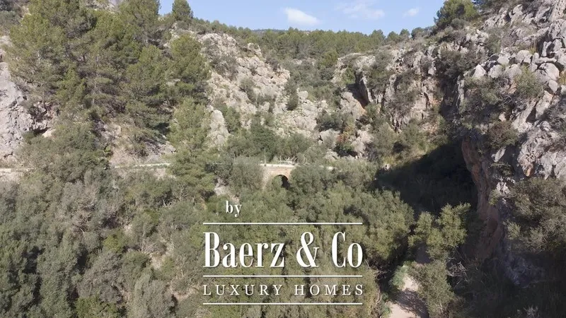 Land in Esporles, Province of Balearic Islands — photo 11