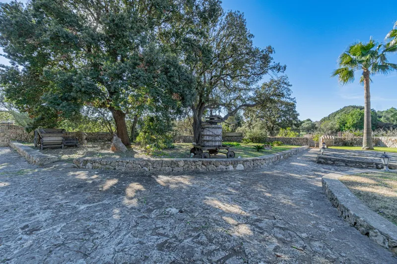 Rustic house with vineyards — photo 9