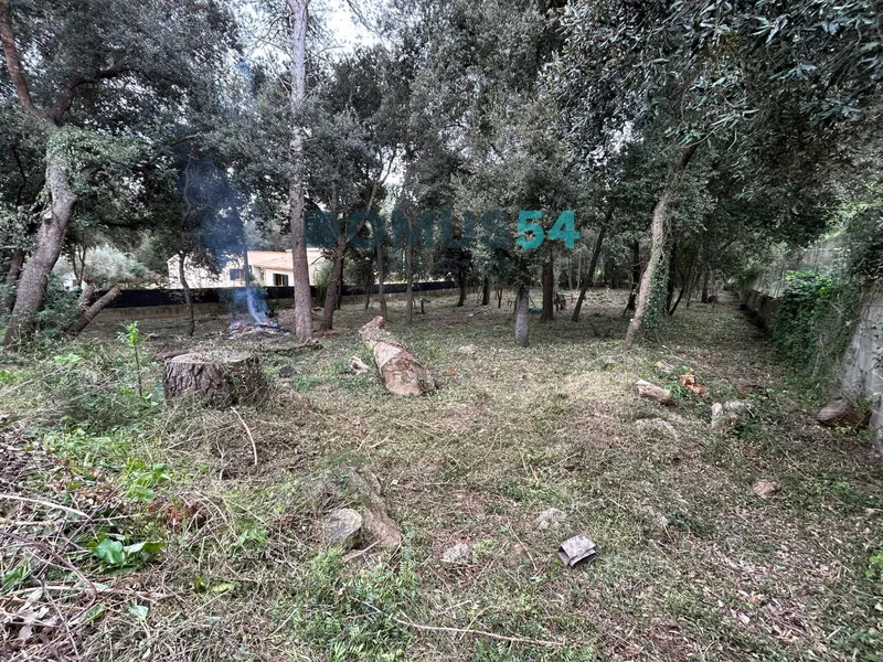 Two plots with planning permission in Son Toni Sa Pobla — photo 9