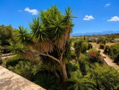 Rustic property - Costitx (Son Horrach), built surface 300m2, 2 bedrooms, 2 bathrooms, all exterior. — photo 8