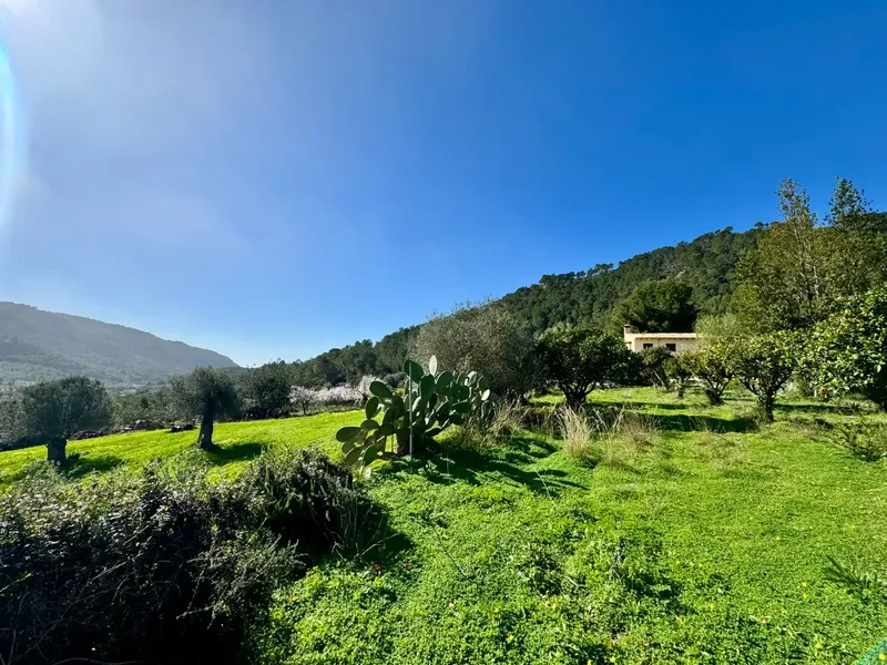 Rustic country property in a prime location in the mountains of Sa Coma, a very peaceful and welcoming village in the municipality of Andratx — photo 1