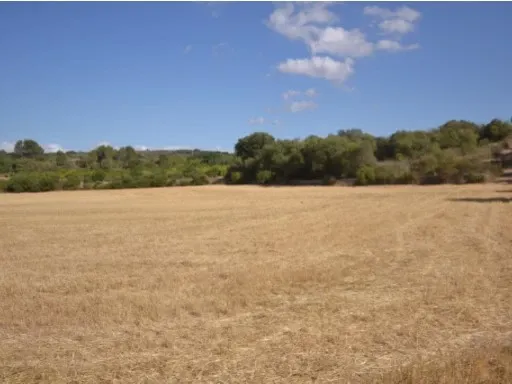 Wonderful quiet plot not far from the center of Porreres Rustic Land — photo 1
