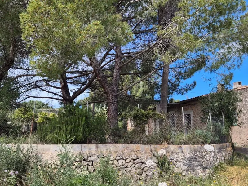 Finca in Buger, Mallorca — photo 3