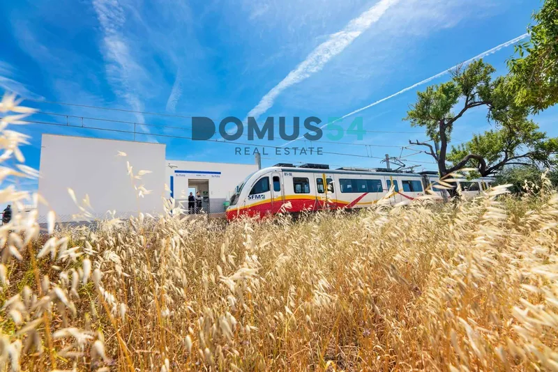 Urban land in Sa Pobla urbanization Crestatx — photo 9