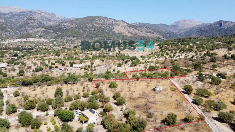 Exclusive country estate with planning permission and a building licence in Moscari, Selva — photo 4