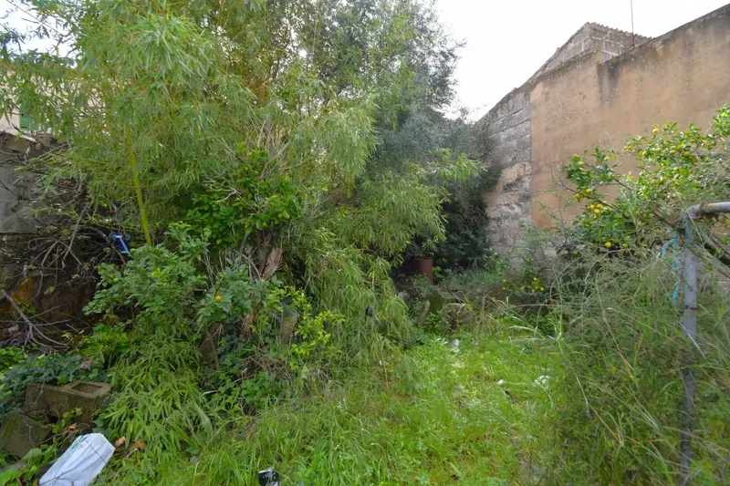 Fantastic village house to renovate with large garden in Muro — photo 3