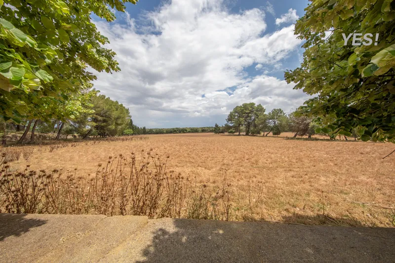 Manor with forest land and large agrarian territory in Maria de la Salud — photo 11
