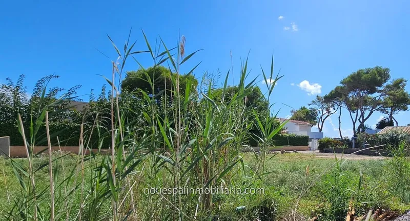 Plot in Playas de Muro, buildable, with project and license — photo 3