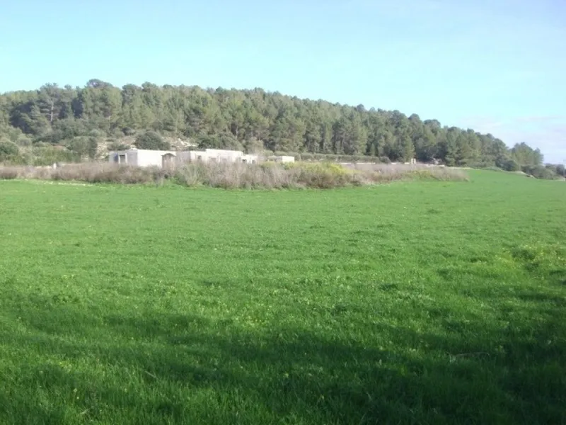 Rural or Farmhouse in Algaida, Province of Balearic Islands — photo 6