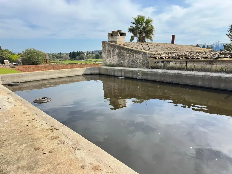 Rustic finca with its own well and 14,186 m² of land in Muro — photo 4