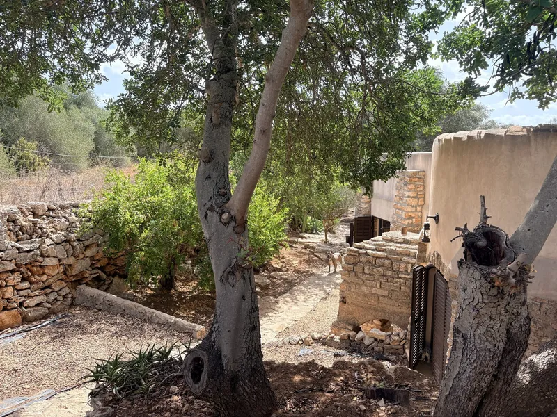 Rustic finca with pool and fountain near Cala Santanyi — photo 11