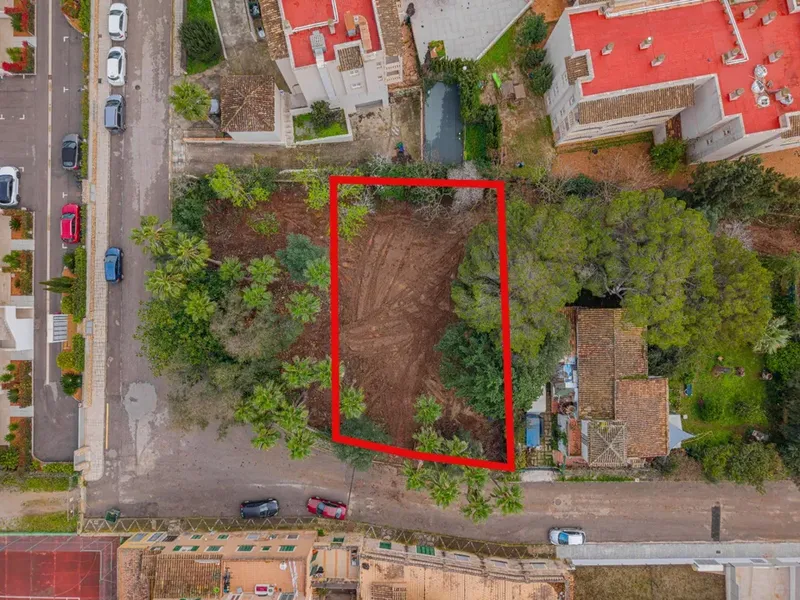 Land in Son Servera, Mallorca — photo 5