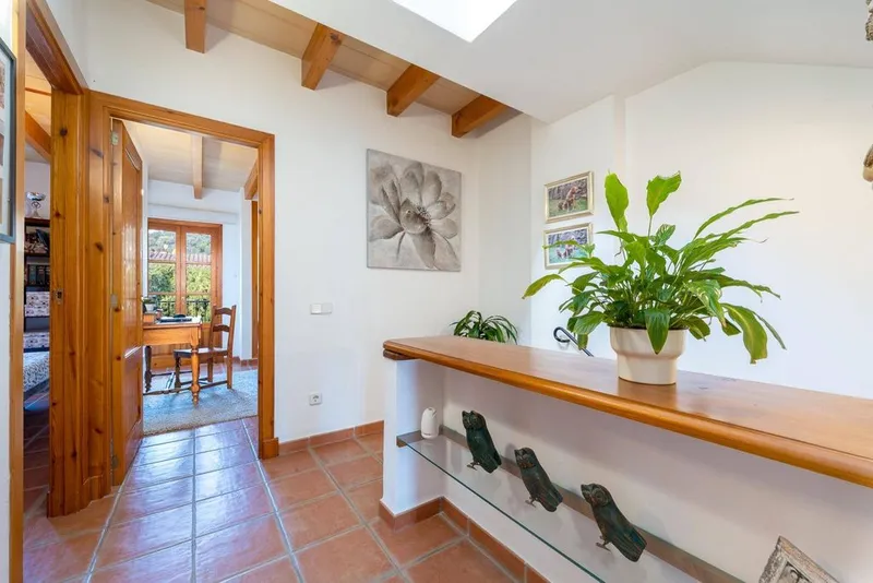 Luxury home in Puigpunyent, Province of Balearic Islands — photo 7