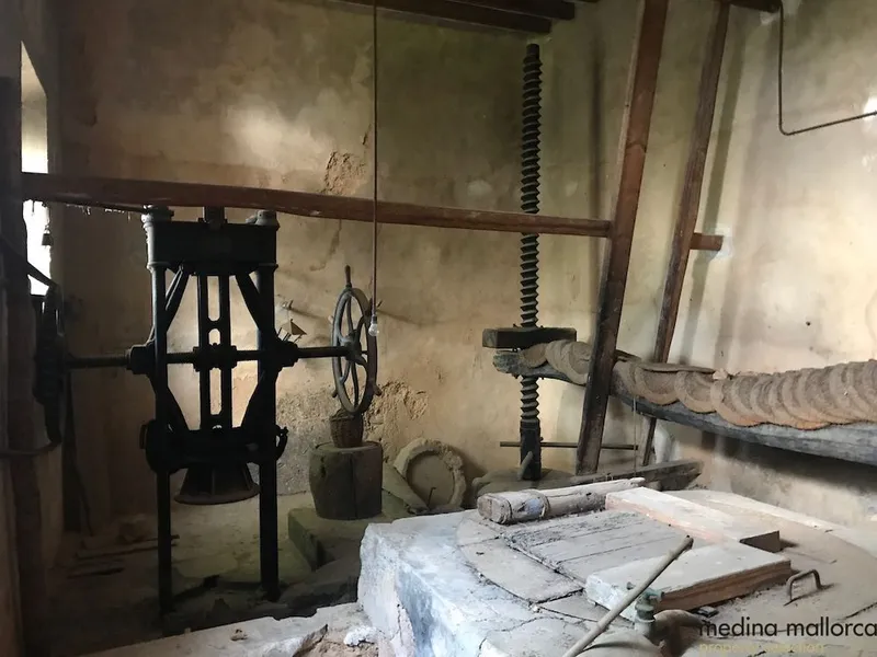 Rustic finca in Deià — photo 11