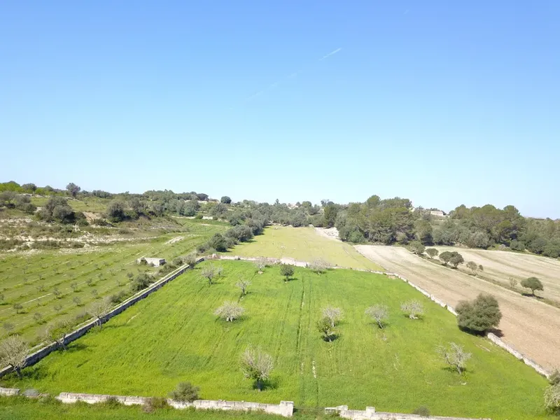 Land in Ariany, Mallorca — photo 4