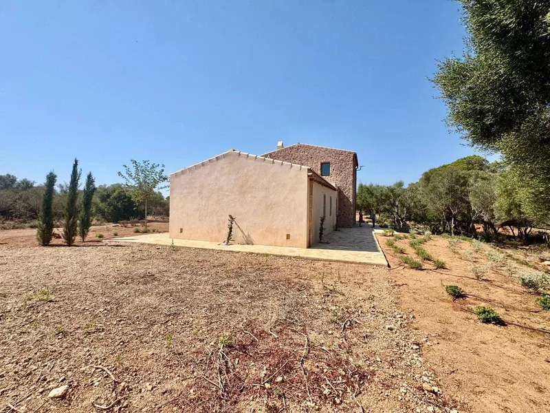 Finca/Country House for rent in Portocolom, Felanitx, Mallorca — photo 12