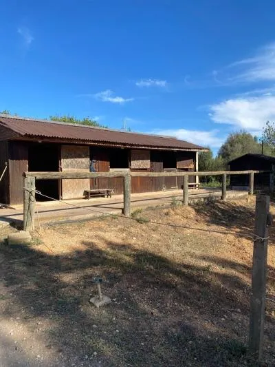 Rustic property - Sencelles, built surface 1180m2, plot surface 38000m2, 6 bedrooms, 5 bathrooms,... — photo 6