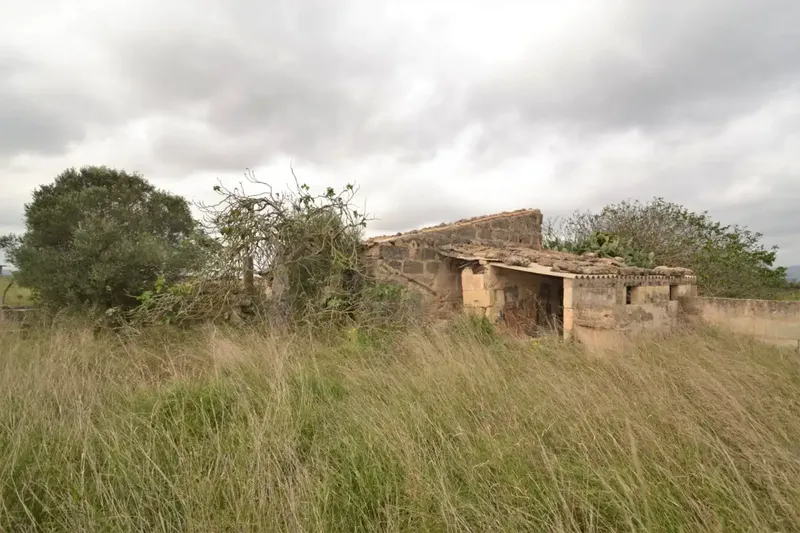 Plot of 24300 square meters with tool shed to renovate — photo 5