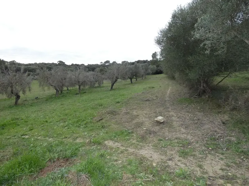 Rustic estate of 25,281 m² for sale with a 99 m² building to renovate, built before 1956 but in good condition — photo 11