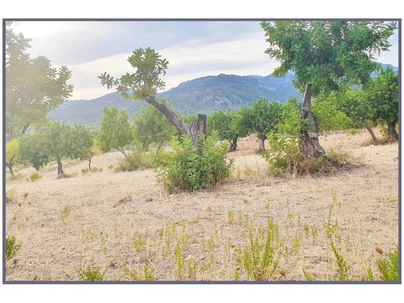 Land — photo 1