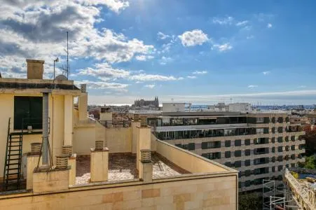 Penthouse - Palma de Mallorca (La Missió) — photo 6
