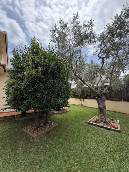 Discover this magnificent detached villa located in the prestigious residential area of Son Bauló, one of the most sought-after areas of Can Picafort — photo 4