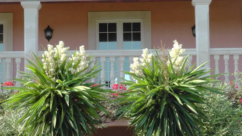 Rustic house for sale in Can Picafort of 1250 m2 — photo 10