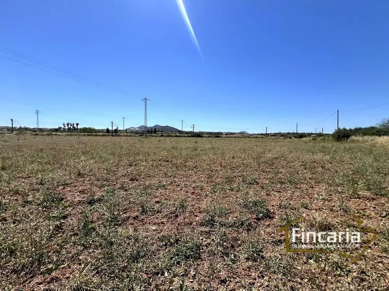 Sensational agricultural warehouse to renovate located in the Es Poas area, 300 meters from the town of Manacor. 40 m2 warehouse — photo 5