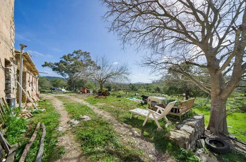 Finca to renovate in the hills before Artà — photo 11