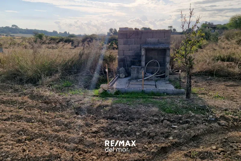 Rustic plot with well in Porreres — photo 3