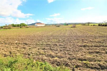 Rural Land - Sineu, Plot Surface 28600 m² — photo 5