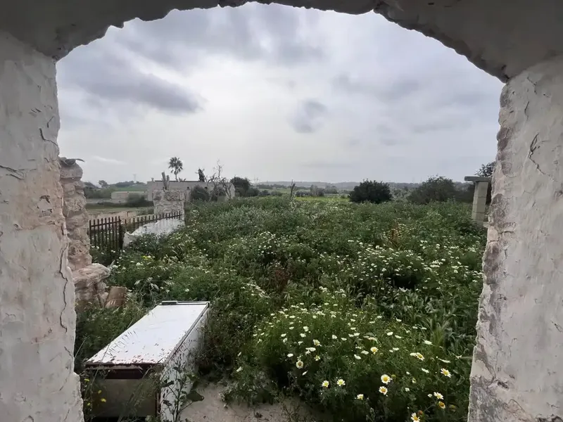 This estate in Llubí is an excellent opportunity for those seeking tranquility, space, and renovation potential. — photo 1