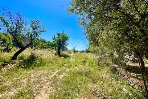 Land in Alaro, Mallorca — photo 12