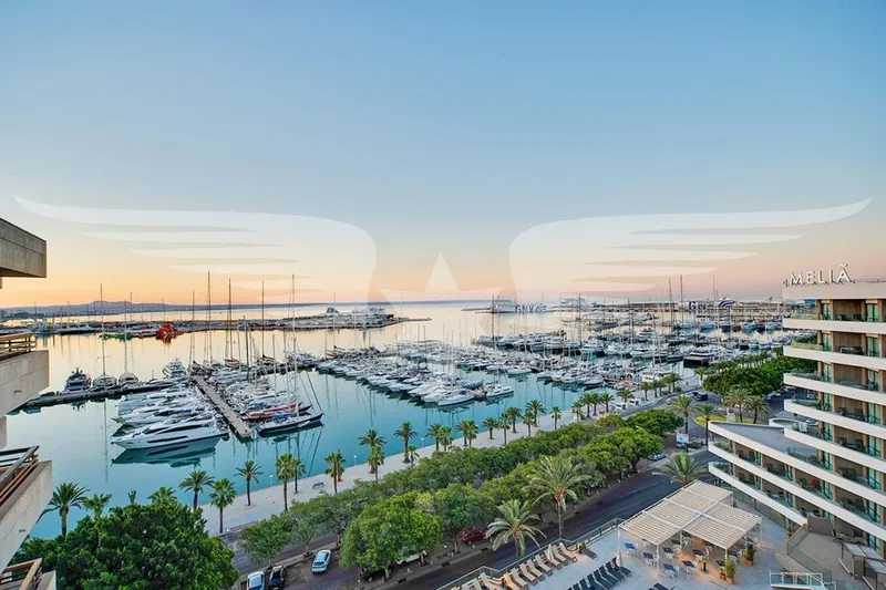 Palma I Penthouse Harbor View — photo 1