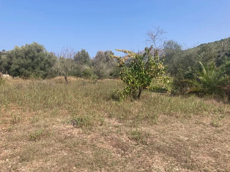 Rustic Finca for sale in Vall de Son March, Pollença, Mallorca, Baleares, Mallorca — photo 5
